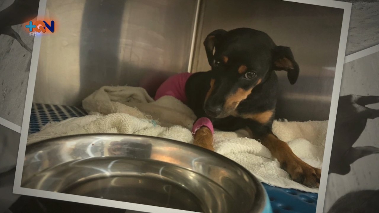 mqn-A Evita le salvaron la vida dos veces-271120