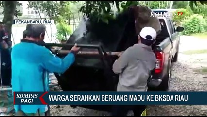 Evakuasi Beruang Madu yang Berada di Rumah Warga