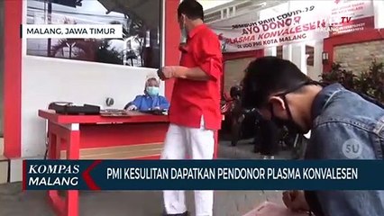 PMI Kesulitan Dapatkan Pendonor Plasma Konvalesen