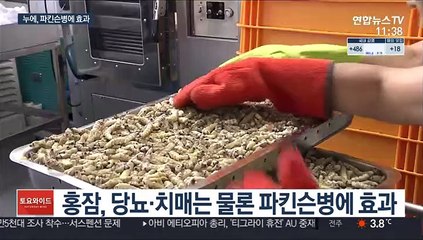 동결건조한 누에 '홍잠'…파킨슨병 증상 억제 효과