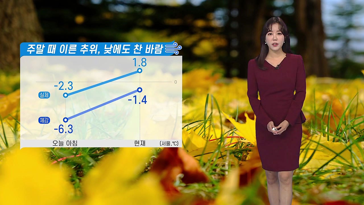 [날씨] 체감온도 영하권...동해안 중심으로 대기 건조 / YTN