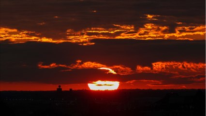 A Third Of America Had Thanksgiving, Ignored COVID-19