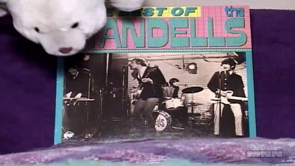 Wild Record Collection #35