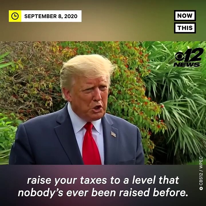 Donald Trump Said the Stock Market Would Tank If Biden Won _ NowThis