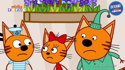 Tatlı Kedicikler _ Nasıl Eğlenebiliriz - 6. Bölüm çizgi film