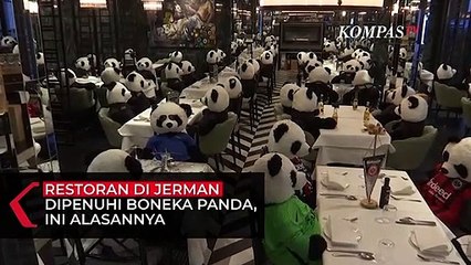 Restoran di Jerman Dipenuhi Boneka Panda, Ini Alasannya