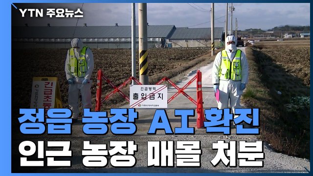 가금농장서 고병원성 AI 확진...위기경보 '심각' 격상 / YTN