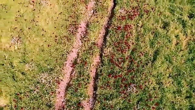Tahir Elçi için eşi Türkan Elçi yazdı ve besteledi, Kardeş Türküler seslendirdi