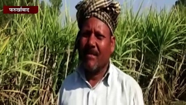 जंगली जानवर के चलते किसानों में दहशत का माहौल