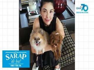 Sarap, 'Di Ba?: Meet Pops Fernandez's fur-babies | Bahay Edition