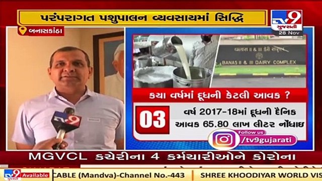 Banas dairy's milk procurement touches 74 lakh litres in a day, Banaskantha _ Tv9GujaratiNews