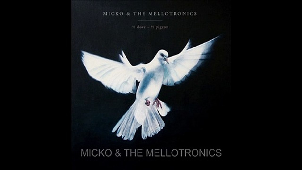 MICKO & THE MELLOTRONICS – "½ Dove - ½ Pigeon" Debut album (Out on 27 November 2020)