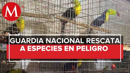 Decomisan 15 mil animales en dos casas de la alcaldía Iztapalapa