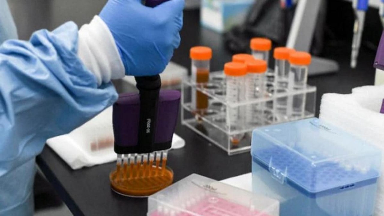 Video:Where does India stand in the race for Corona vaccine?