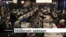 German restaurant packed with stuffed pandas in coronavirus protest