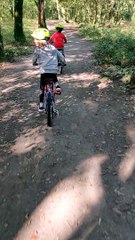 Balade tranquille en fôret