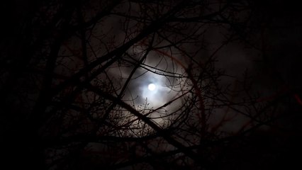 Dilbar Dilbar song lyrics