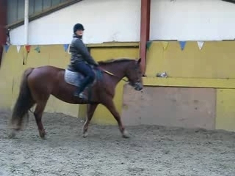 MVI_0393