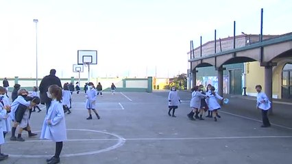Las gaviotas comen ahora los restos de comida que dejan los niños en el recreo