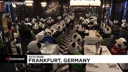 A Francfort, des pandas en peluche remplacent les clients d'un restaurant