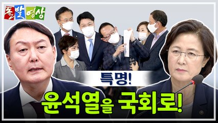 [주간 돌발영상] 2020년 11월 넷째 주 / YTN