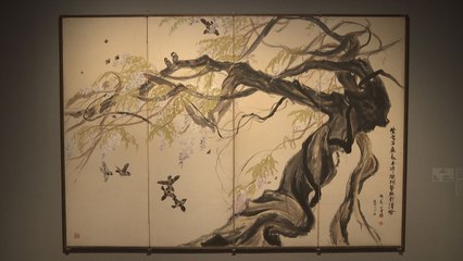 1960년대 한국화가가 이런 추상화를?...다시 보는 박래현 / YTN