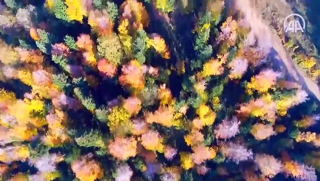 Çam Dağı güz renkleriyle görsel şölen sunuyor