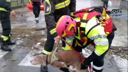 Maltempo in Europa: è allarme valanghe in Italia e Austria