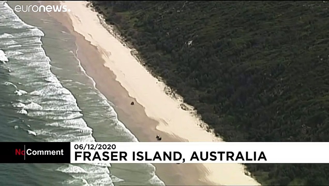Australien: Buschfeuer zerstört größte Sandinsel der Welt 'Fraser Island'