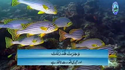 Dua Kumail ||  Dua e Kumayl || Arabic and Urdu Translation