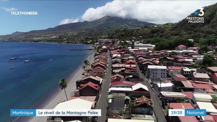 Martinique : le volcan de la Montagne Pelée placé en vigilance jaune
