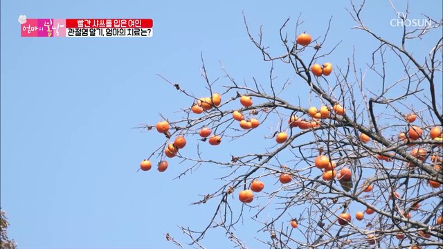 관절염 말기.. 심각한 엄마의 무릎 상태ㅠㅠ #광고포함