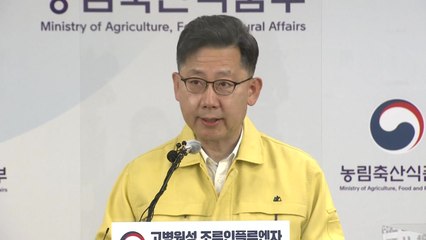 고병원성 AI 매우 위험한 상황 판단..."최고 수준 방역 조치" / YTN