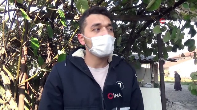 Hobi Olarak Başladığı Kivi Üretiminde Şimdi Siparişlere Yetişemiyor