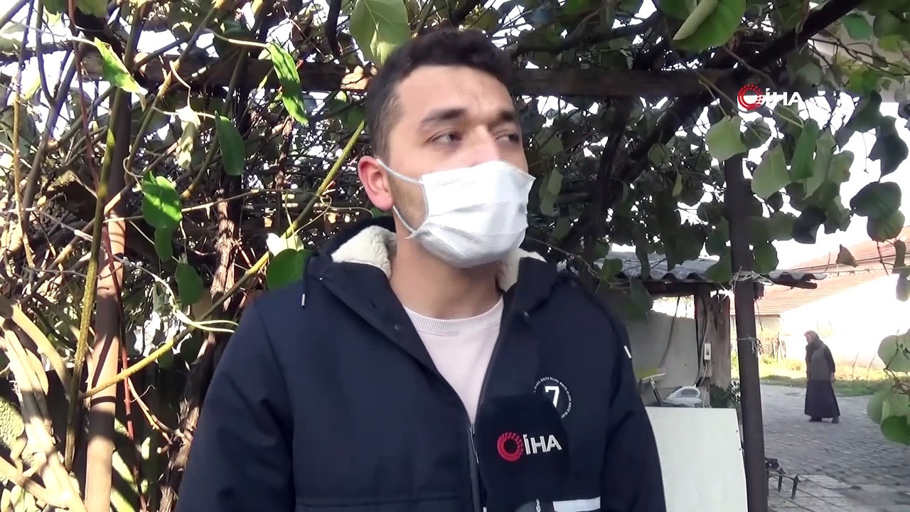 Hobi Olarak Başladığı Kivi Üretiminde Şimdi Siparişlere Yetişemiyor