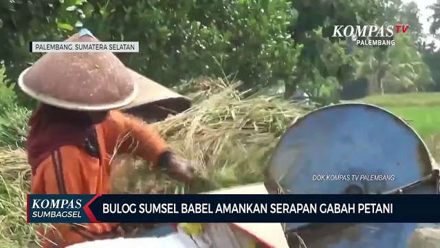 Bulog Sumsel Babel Amankan Serapan Gabah Petani