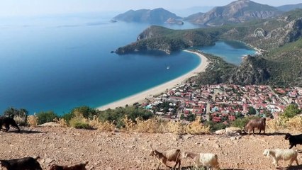 MUĞLA - Sahillerde güneşli hava yoğunluğu