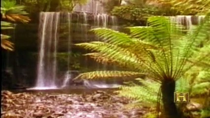 Biyografi - Charles Darwin