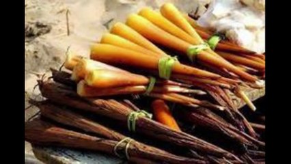 பனங்கிழங்கு புட்டு / palmyra puttu / in tamil / with english subtitles