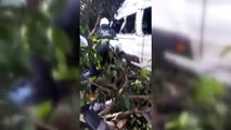 HATAY - Tarım işçilerini taşıyan minibüs devrildi: 9 yaralı