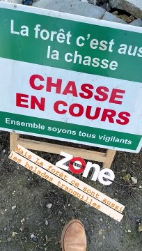 Elodie Gossuin et ses enfants se baladent en fôret.