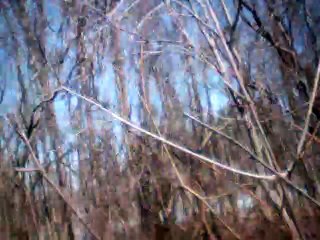 je suis trop jeunette 3rd voice instrumental