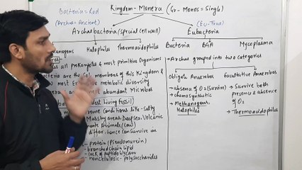 Monera-Biological Classification(Kingdom Monera-Features)