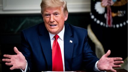 Trump Wanted To File One Massive Election Lawsuit