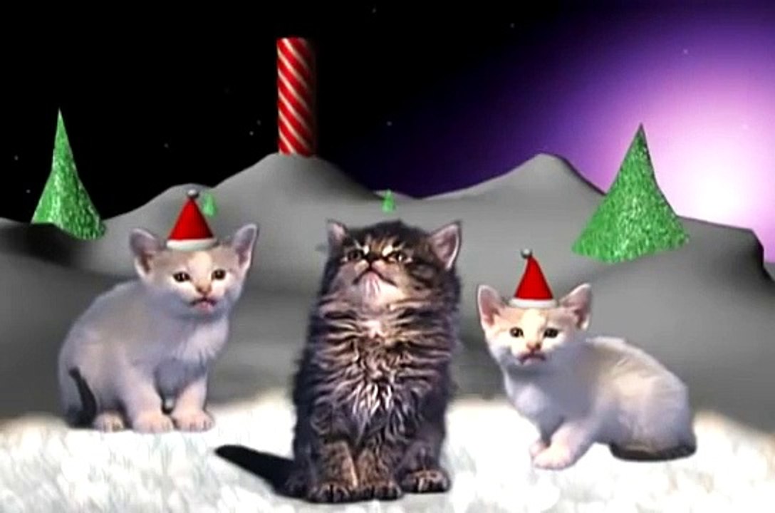 gatitos cantando navidad