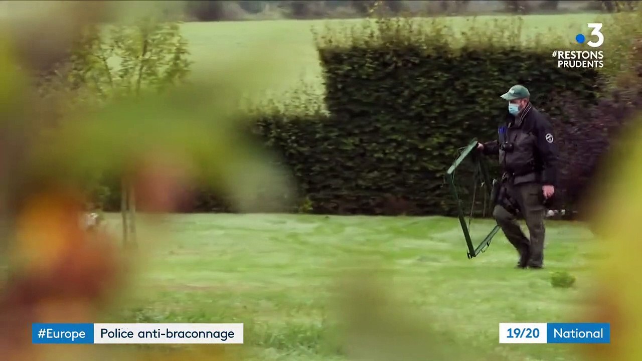 Environnement : ils traquent les braconniers d’oiseaux rares