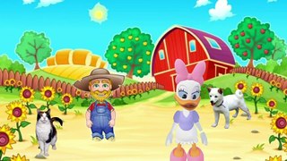 ❤Old Macdonald had a farm❤ Popular Nursery Rhymes and Kids Songs Animal for Children with Lyrics