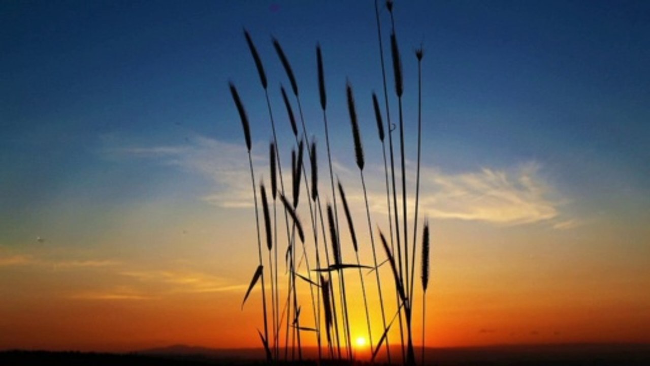 Love Poems   I can not live without you.Love verses and romantic phrases