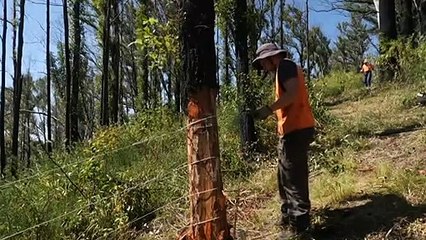 Bushfire victims still waiting for aid