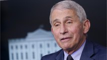 Fauci Says Christmas And New Years Will Have Restrictions